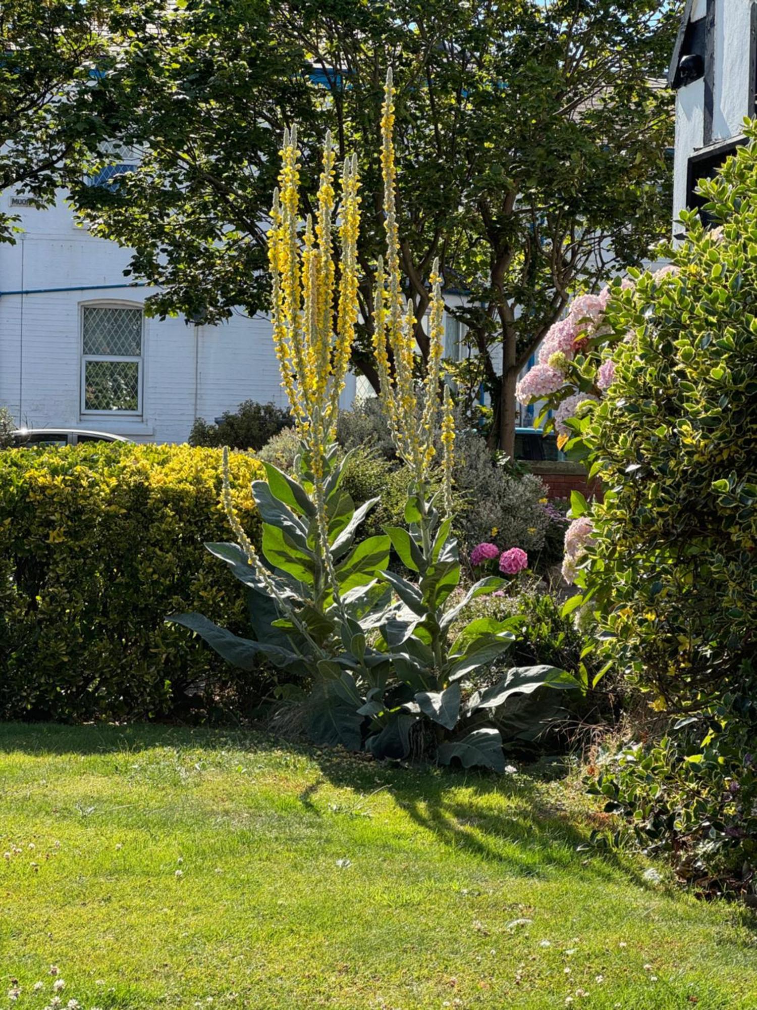 The Old Coach House Guest house
